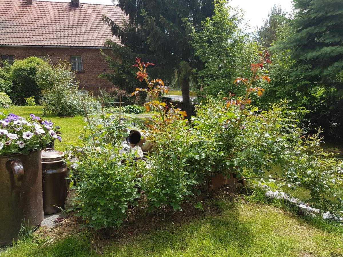 Apartmán Wczasowisko Karola Lubomierz  Exteriér fotografie